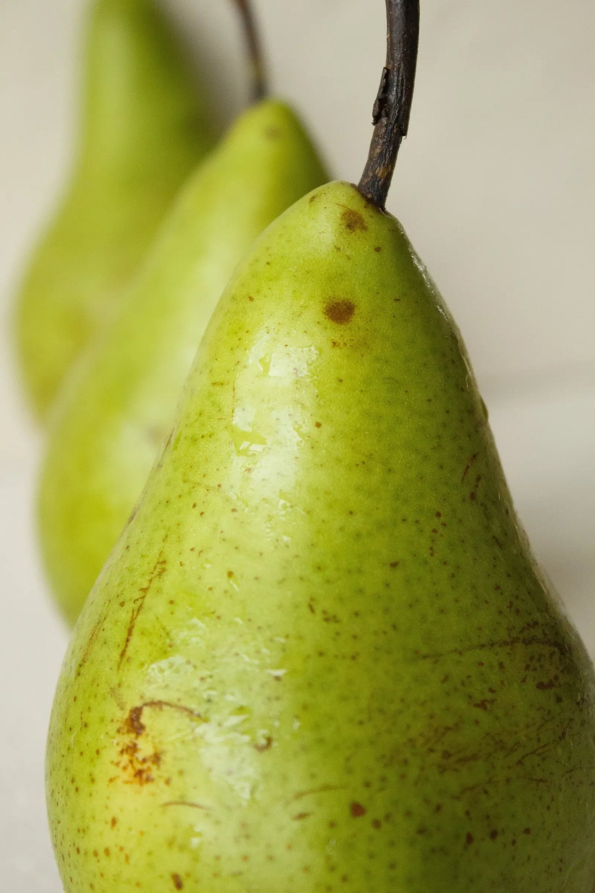 Bartlett Pear