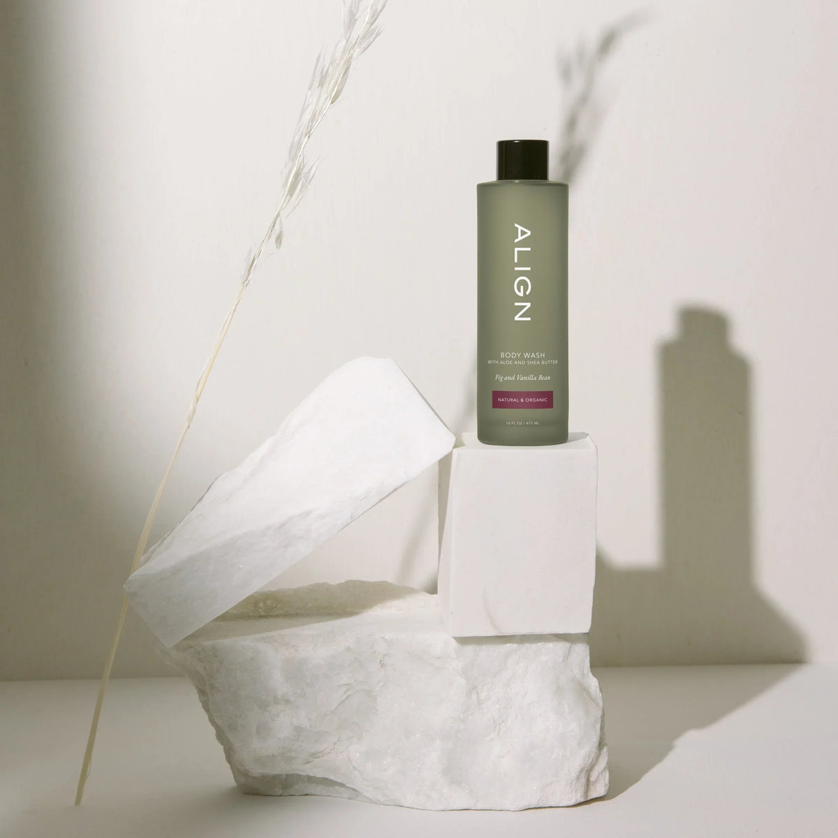 Fig and Vanilla Bean body wash